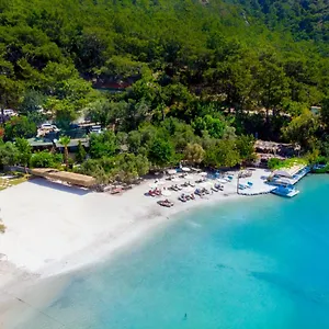 https://lagoon-boutique-hotel.turkeyfethiyehotels.com